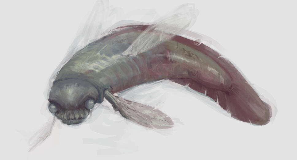Fly-fish.